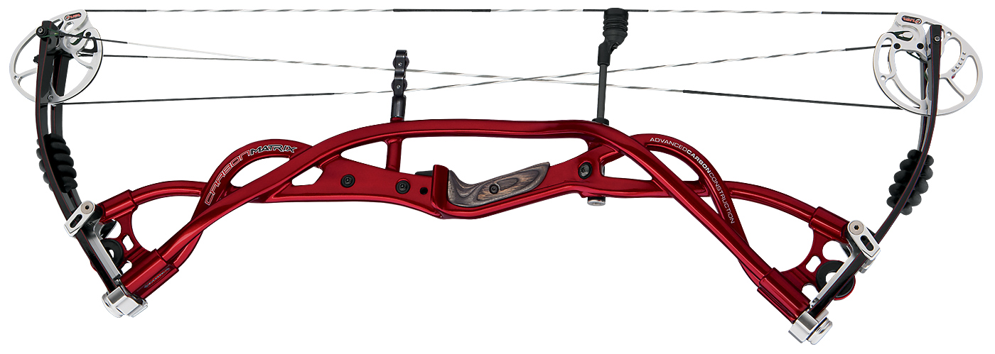 Hoyt Carbon Matrix Plus Target