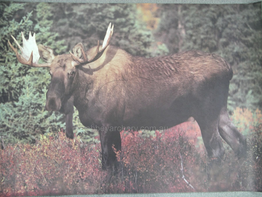 Moose Animal Target Face large image. Click to return to Moose Animal Target Face price and description