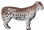 Delta McKenzie Pro 3D African Leopard - click for more information