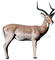 Delta McKenzie Pro 3D African Impala - click for more information
