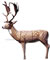 Delta McKenzie Pro 3D Fallow Deer - click for more information