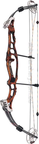 Hoyt 38 Pro Target image