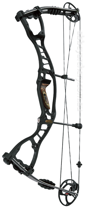 Hoyt AlphaMax 32 Target image