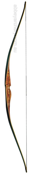 Martin Bamboo Viper Longbow 64in image