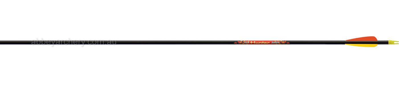 Beman ICS Hunter Junior arrow dozen large image. Click to return to Beman ICS Hunter Junior arrow dozen price and description