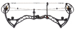 BowTech Boss Target - click for more information