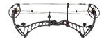 BowTech Prodigy Target - click for more information