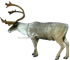 Delta McKenzie Pro 3D Caribou - click for more information