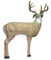 Delta Elite Trophy Whitetail Buck - click for more information