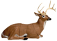 Delta McKenzie Pro 3D Bedded Buck - click for more information