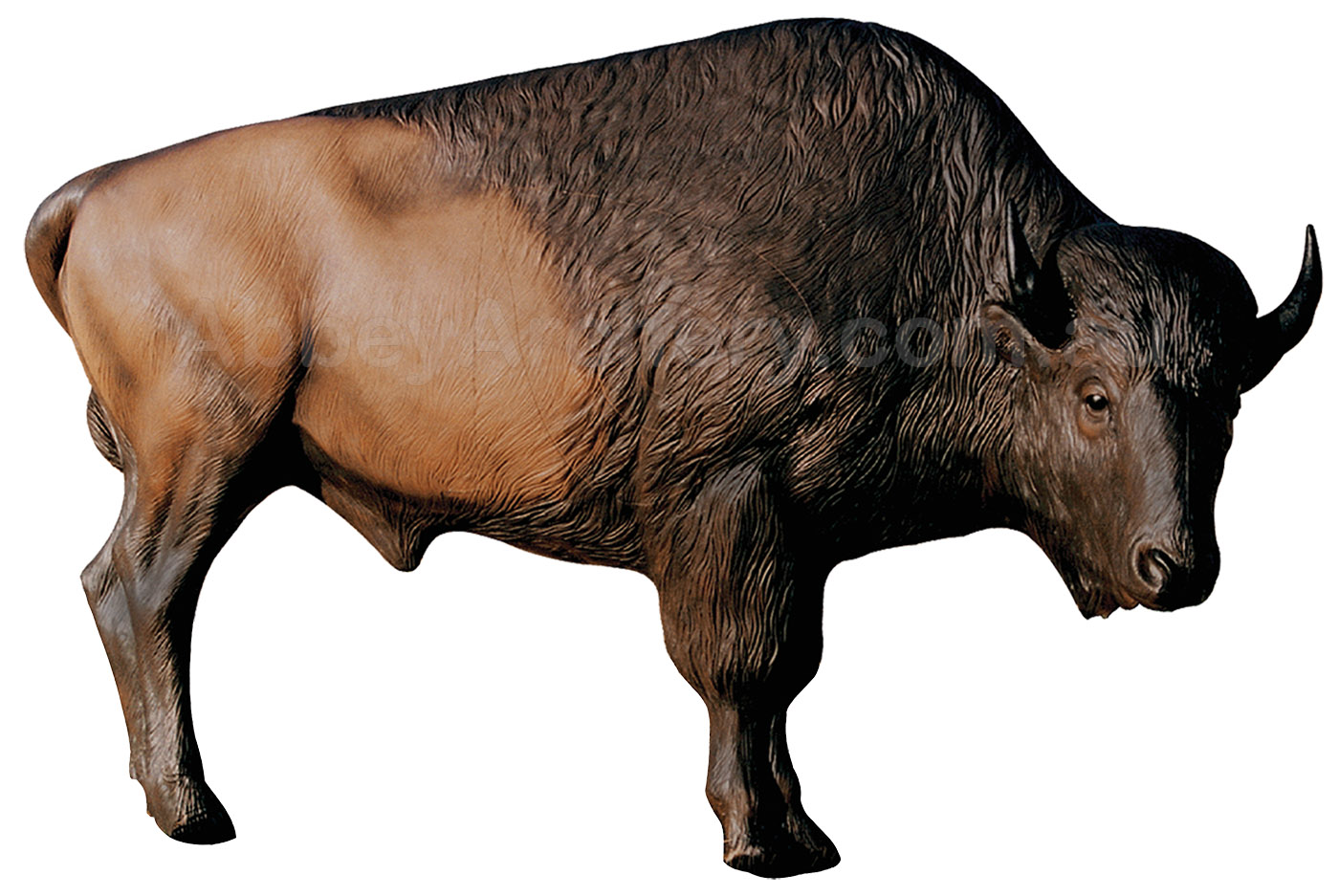 Delta McKenzie Pro 3D Bison large image. Click to return to Delta McKenzie Pro 3D Bison price and description