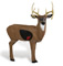 Delta McKenzie 3D Lethal Impact Buck - click for more information