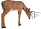 Delta McKenzie Pro 3D Medium Grazing Deer - click for more information
