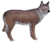 Delta McKenzie Pro 3D Wolf - click for more information