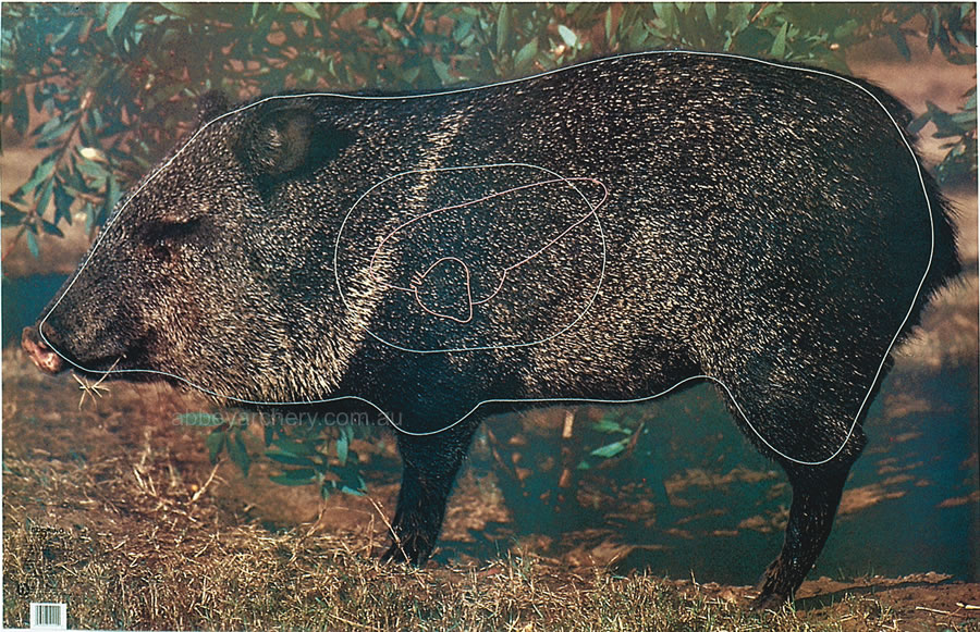 Javelina Animal Target Face large image. Click to return to Javelina Animal Target Face price and description