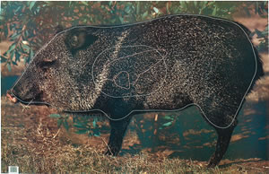 Javelina Animal Target Face image