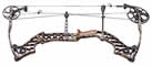 Mathews ZXT - click for more information