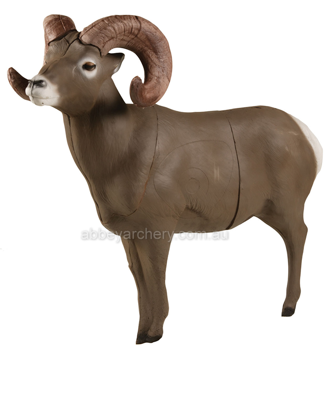 Delta McKenzie Pro 3D Bighorn Sheep large image. Click to return to Delta McKenzie Pro 3D Bighorn Sheep price and description