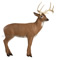 Delta McKenzie Pro 3D Extra Large Deer - click for more information
