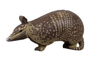 Rinehart Armadillo image