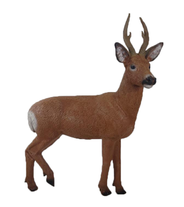 Rinehart Roe Deer large image. Click to return to Rinehart Roe Deer price and description