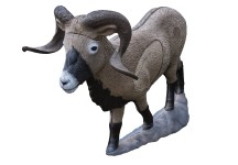 Rinehart Corsican Ram image