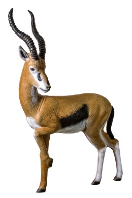 Rinehart Gazelle image