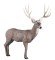 Rinehart Giant Mule Deer - click for more information