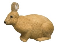 Rinehart Rabbit image