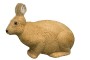 Rinehart Rabbit - click for more information