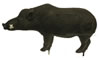 Rinehart Razorback Boar image