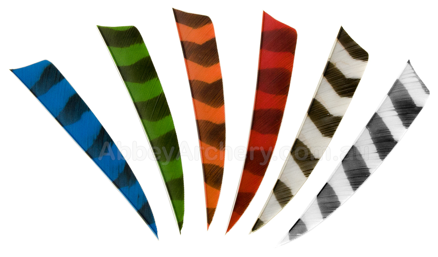 Trueflight 5in Shield Barred Feathers 25pk large image. Click to return to Trueflight 5in Shield Barred Feathers 25pk price and description