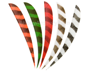 Trueflight 4in Parabolic Barred Feathers 25pk image