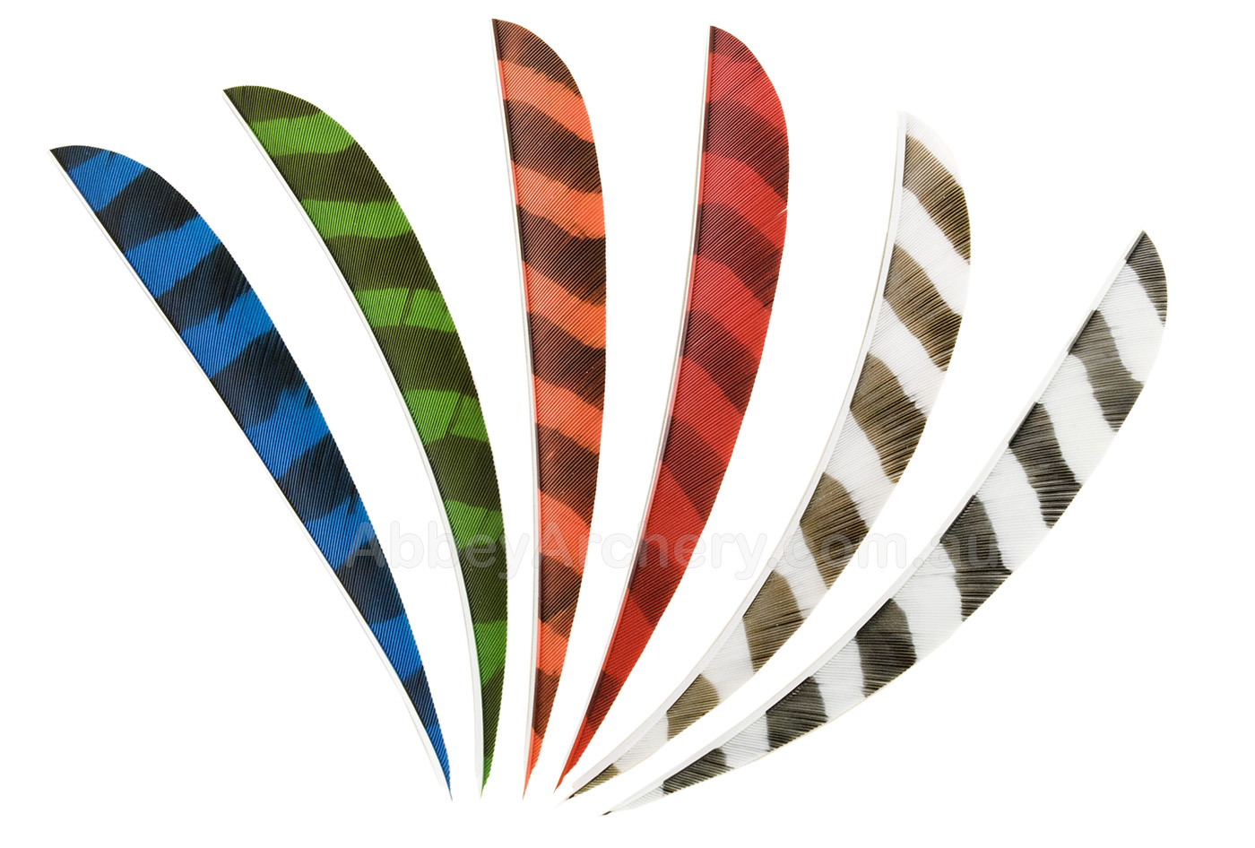 Trueflight 5in Parabolic Barred Feathers 12pk large image. Click to return to Trueflight 5in Parabolic Barred Feathers 12pk price and description