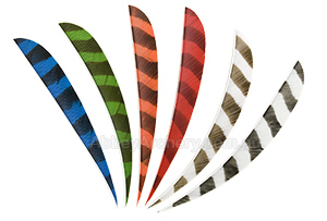 Trueflight 5in Parabolic Barred Feathers 25pk image