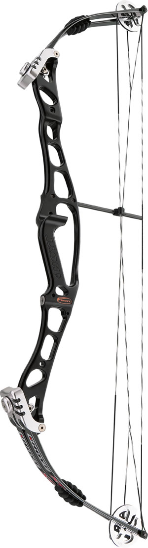 Hoyt Vantage LTD Target image